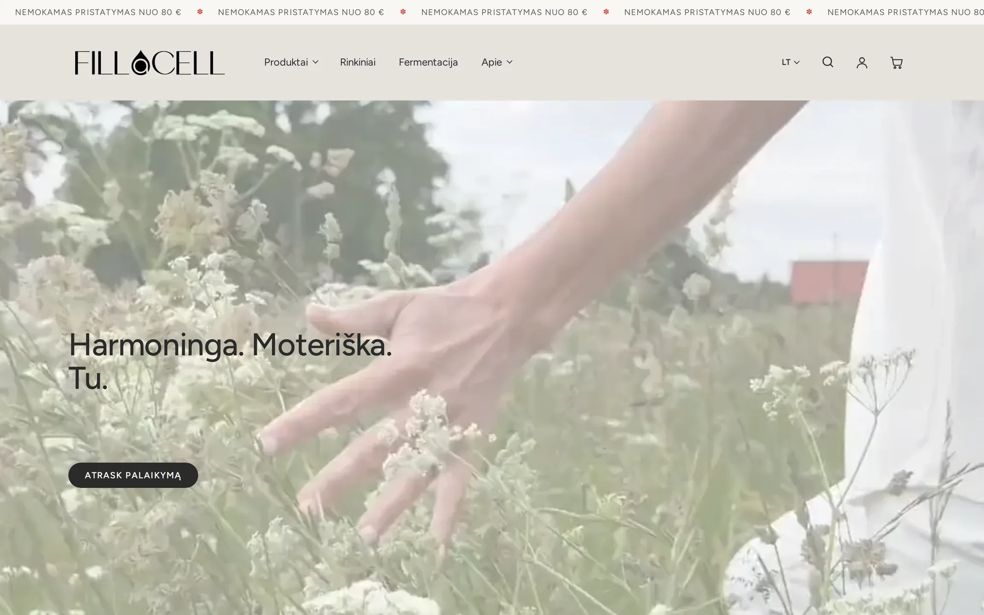 fillacell.com pradinis puslapis kompiuteryje